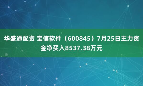 华盛通配资 宝信软件（600845）7月25日主力资金净买入8537.38万元