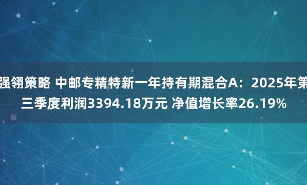 强翎策略 中邮专精特新一年持有期混合A：2025年第三季度利润3394.18万元 净值增长率26.19%